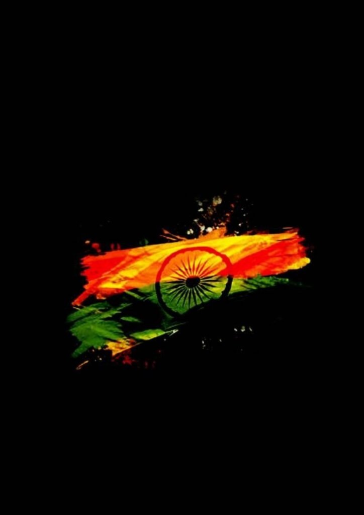 Beautiful Indian Flag DP