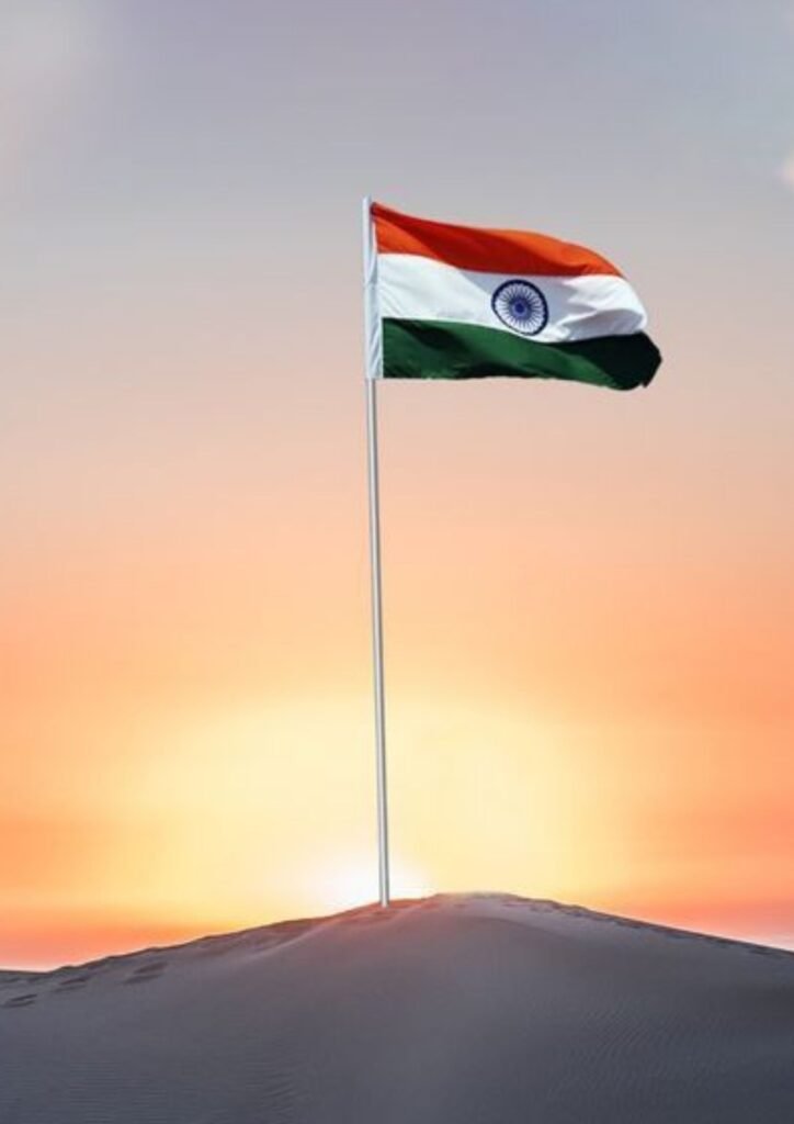 Beautiful Indian Flag DP