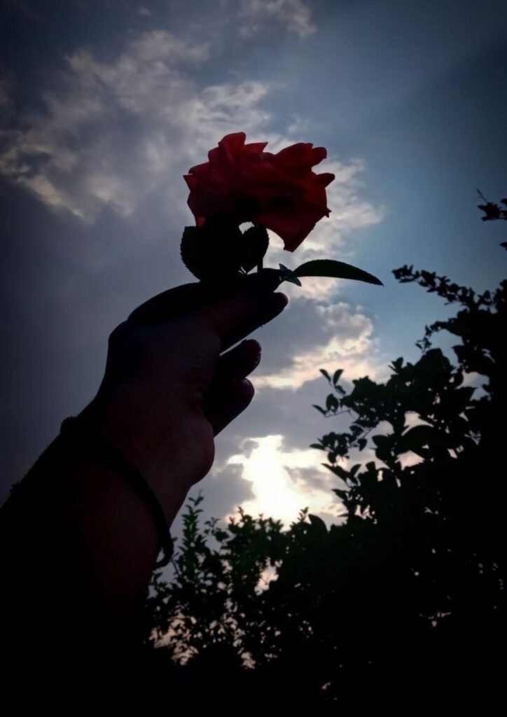 WhatsApp DP for Girls