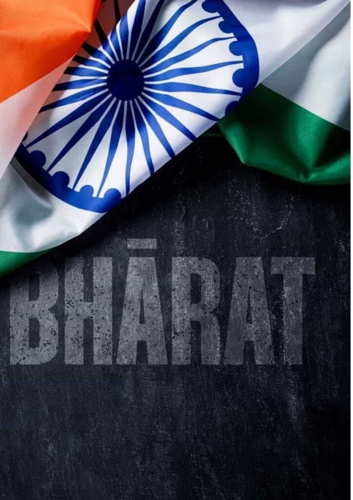indian flag dp