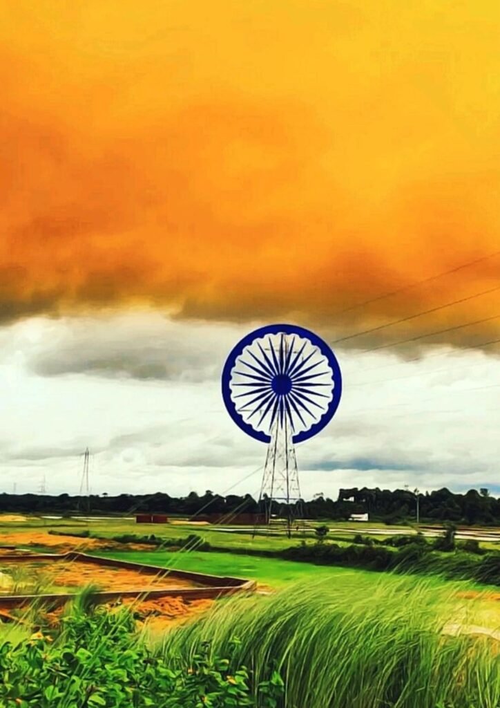 Beautiful Indian Flag DP