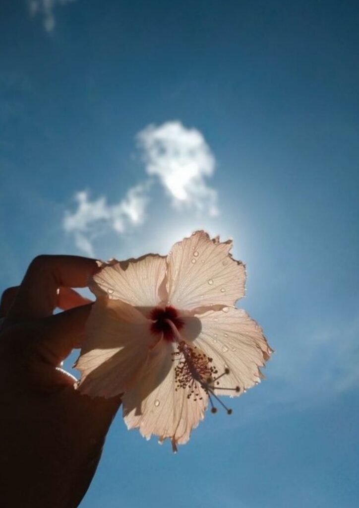 WhatsApp DP for Girls