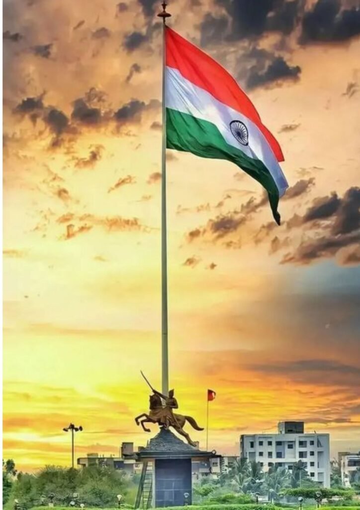 indian flag dp