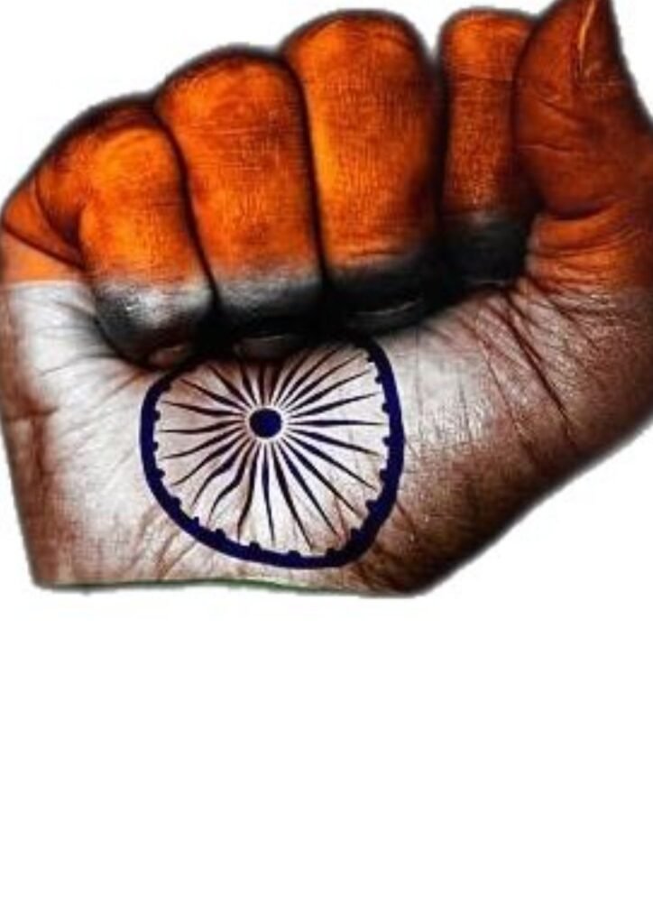 Beautiful Indian Flag DP