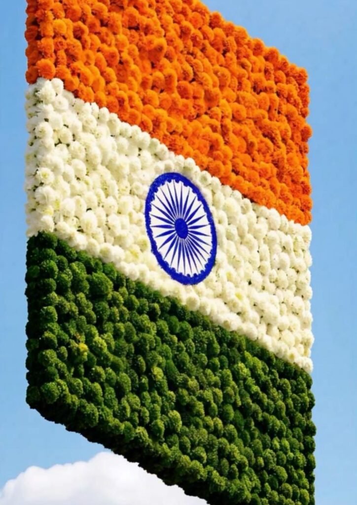 Beautiful Indian Flag DP