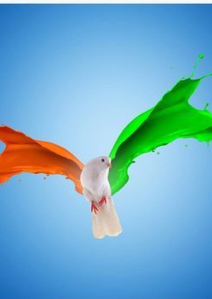indian flag dp