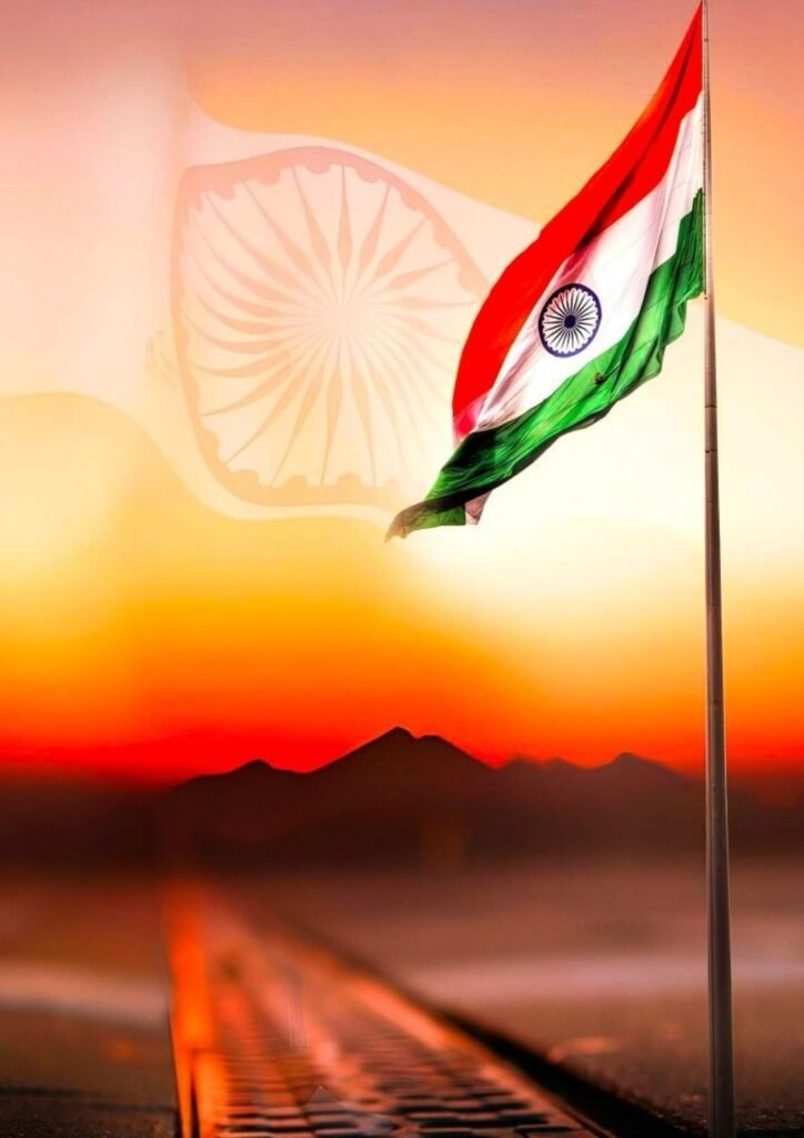 Beautiful Indian Flag DP