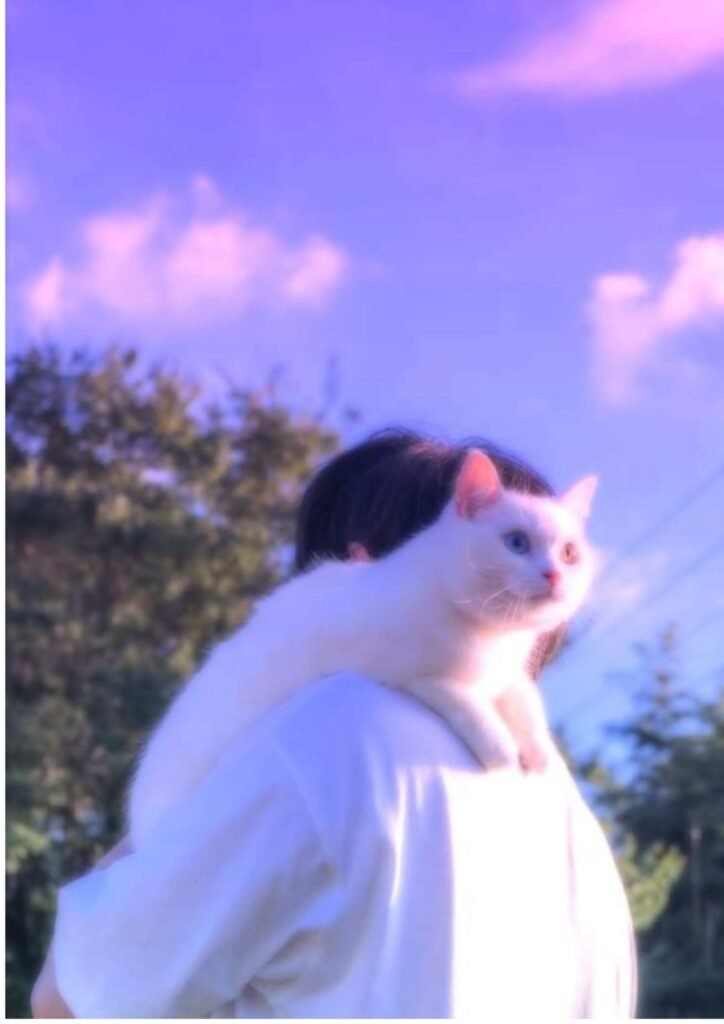 Instagram Dp for Boys