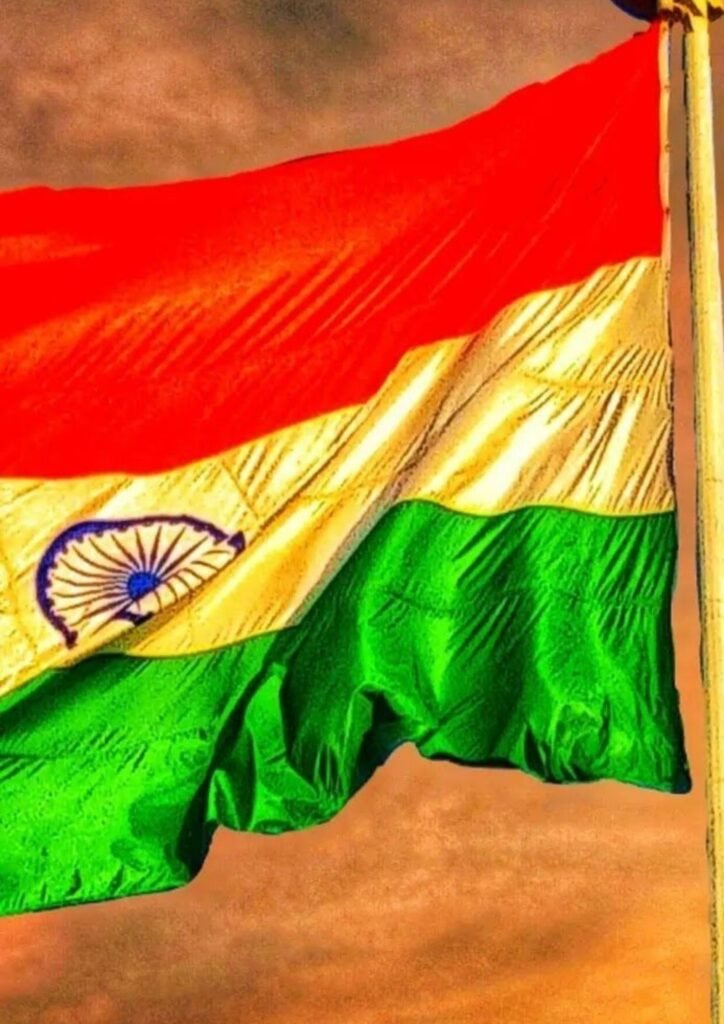 Beautiful Indian Flag DP