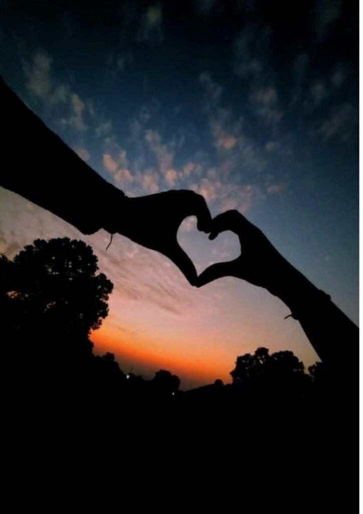 Love DP