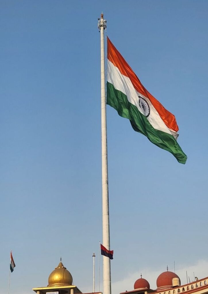 Beautiful Indian Flag DP